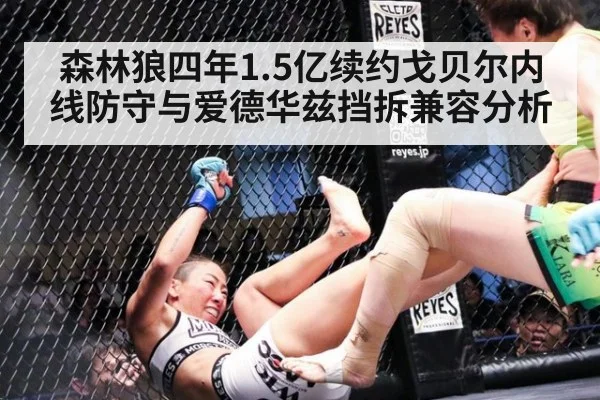 森林狼四年1.5亿续约戈贝尔内线防守与爱德华兹挡拆兼容分析