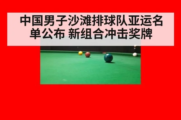 中国男子沙滩排球队亚运名单公布 新组合冲击奖牌