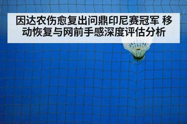 badminton net play
